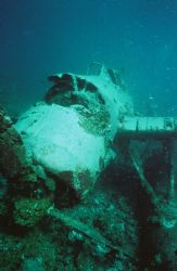 WW II Japanese Float-Plane. The dive guide considered thi... by Morgan Ashton 